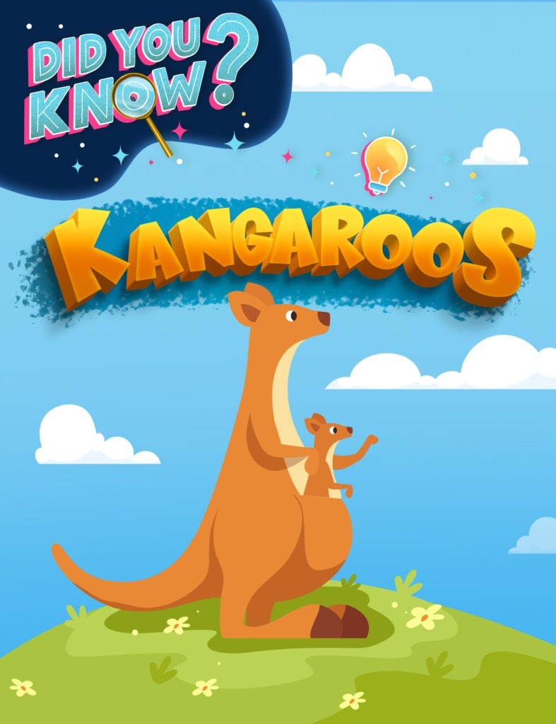 Kangaroos Zoog