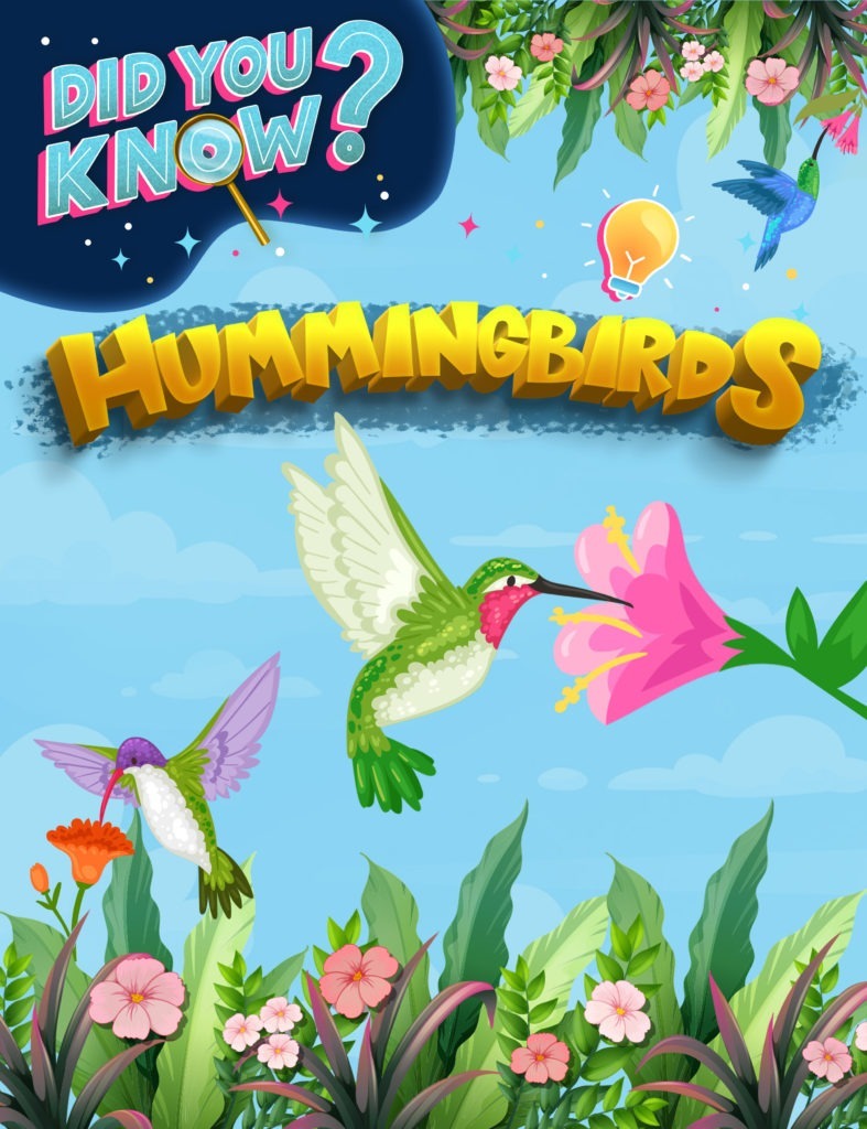 Hummingbirds Zoog