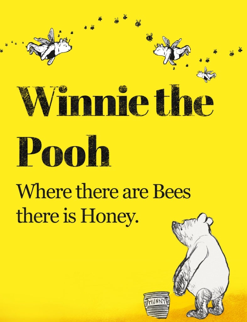 Winnie the Pooh Zoog